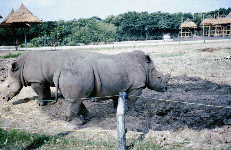 Thailand-2005