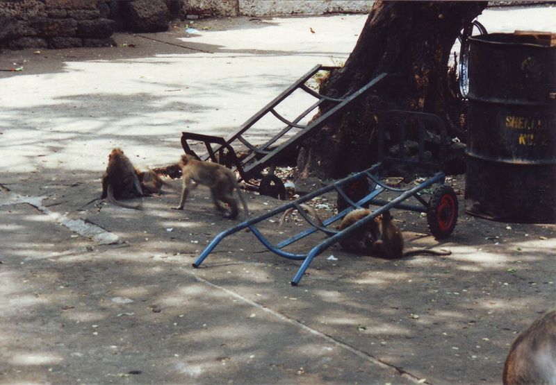 Thailand - 1996 - 03 - 0020