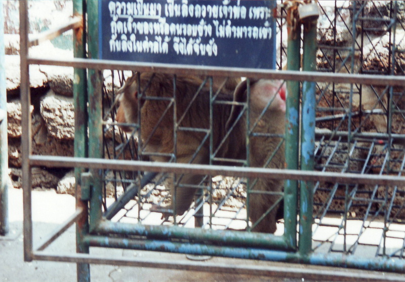 Thailand - 1996 - 03 - 0022