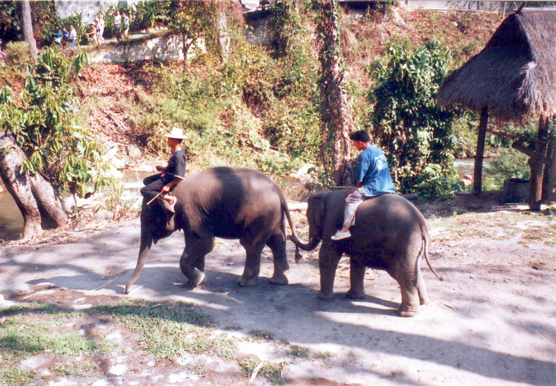 Thailand - 1996 - 03 - 0233