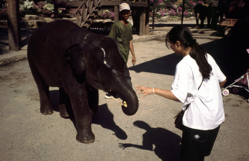 Thailand - 1997 - 12 - 0836