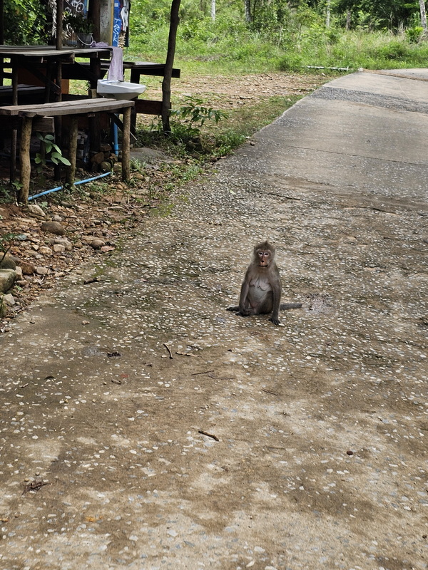 Thailand 2024 - 06 - 0727