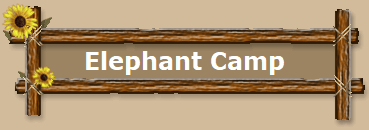 Elephant Camp