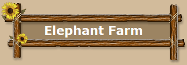 Elephant Farm
