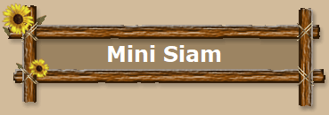 Mini Siam