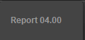 Report 04.00