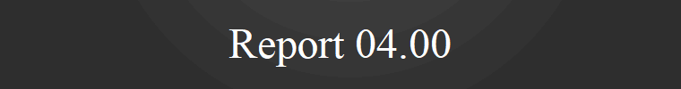 Report 04.00