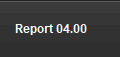 Report 04.00