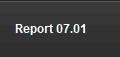 Report 07.01