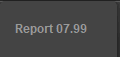 Report 07.99