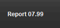 Report 07.99