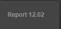 Report 12.02