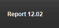 Report 12.02