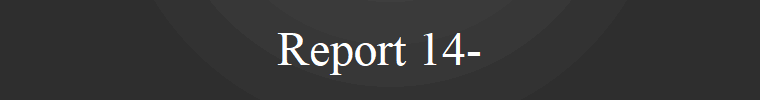 Report 14-