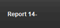 Report 14-