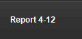 Report 4-12