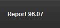 Report 96.07