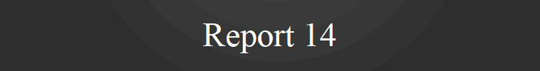 Report 14