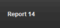 Report 14