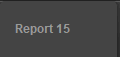 Report 15