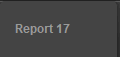 Report 17