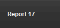 Report 17