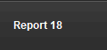 Report 18