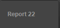 Report 22