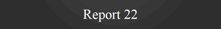 Report 22