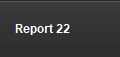 Report 22