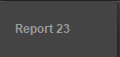 Report 23