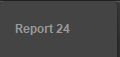 Report 24