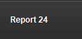 Report 24