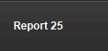 Report 25